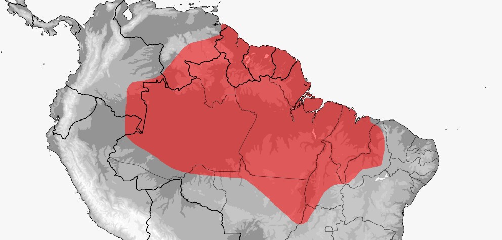 mapa Leptophis ahaetulla